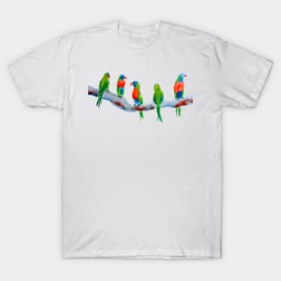 Rainbow Parakeets T-Shirt